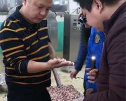 ?浙江寧總來廠考察 DCCZ7-10型電磁炒貨機炒制多味花生米 ?浙江寧總來廠考察 DCCZ7-10型電磁炒貨機炒制多味花生米