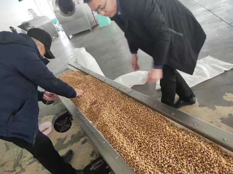 歡迎烏魯木齊客戶江總來廠考察電磁炒貨機，現(xiàn)場訂購一臺鷹嘴豆炒貨機！